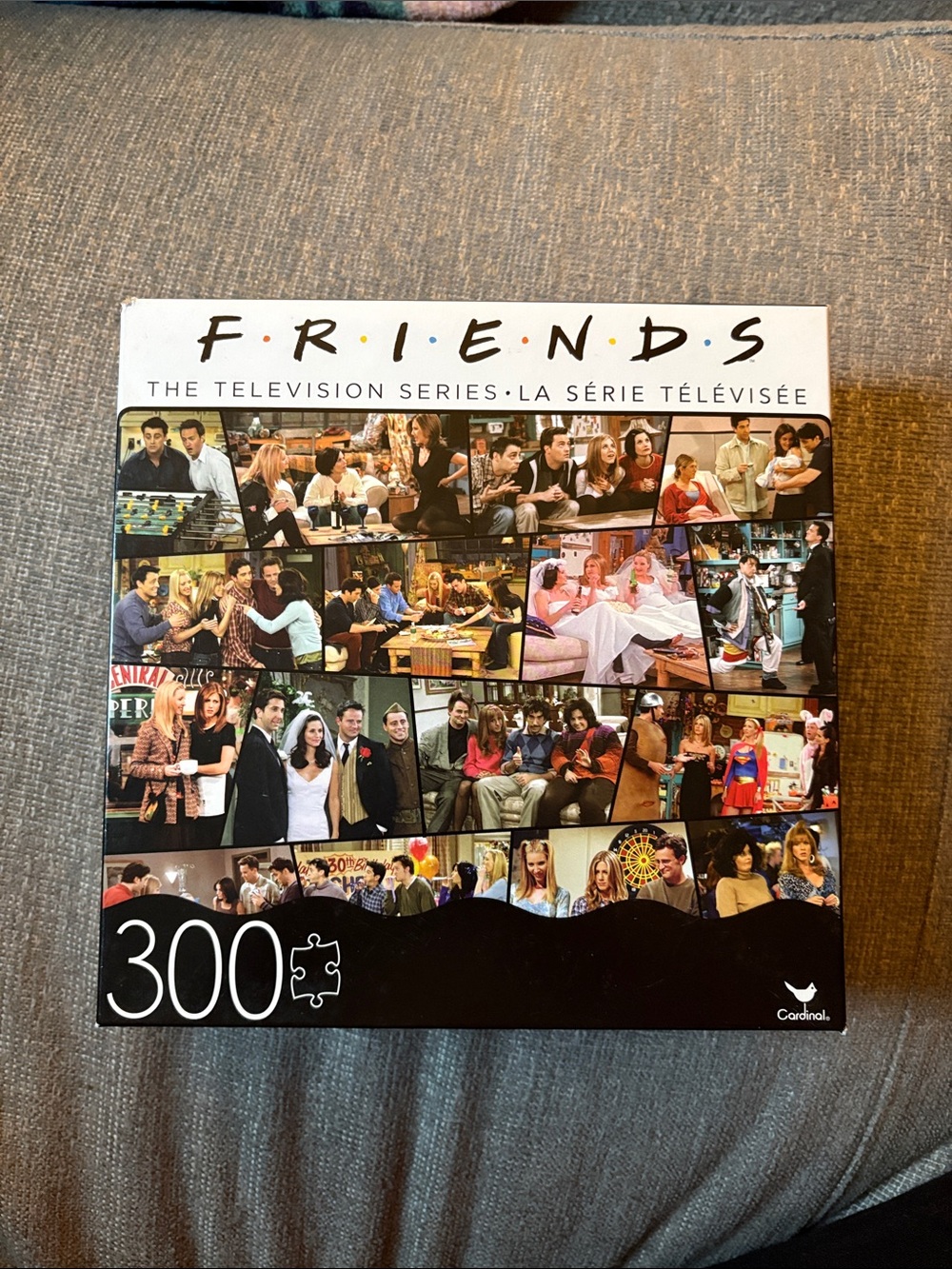 FRIENDS 300-Piece Jigsaw Puzzle - Multicolor by Cardinal